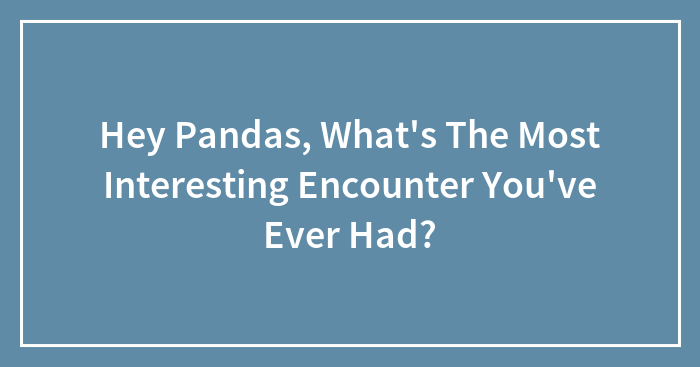 Hey Pandas, What’s The Most Interesting Encounter You’ve Ever Had? (Closed)