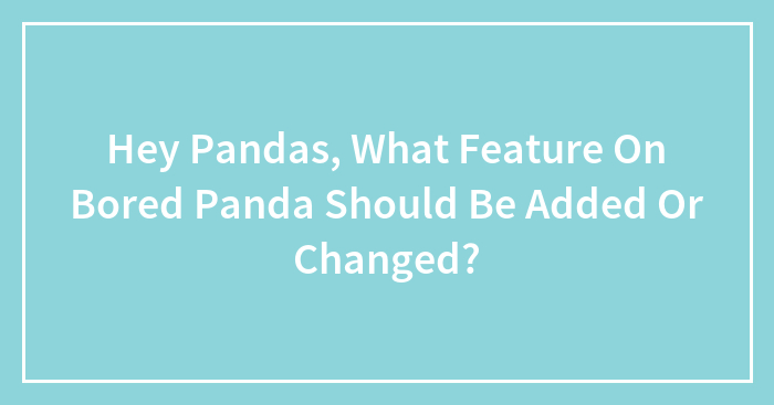 Hey Pandas, What Feature On Bored Panda Should Be Added Or Changed? (Closed)