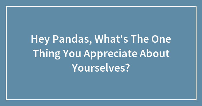 Hey Pandas, What’s The One Thing You Appreciate About Yourselves? (Closed)