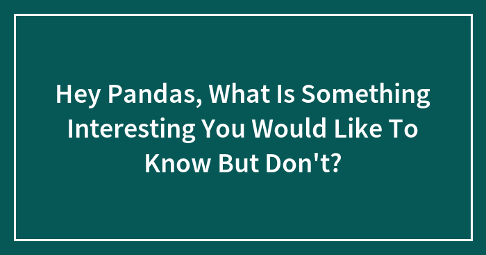 Hey Pandas, What Is Something Interesting You Would Like To Know But Don’t? (Closed)