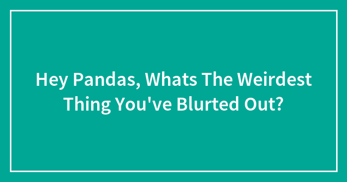 Hey Pandas, Whats The Weirdest Thing You’ve Blurted Out? (Closed)