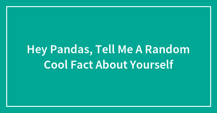 Hey Pandas, Tell Me A Random Cool Fact About Yourself (Closed)