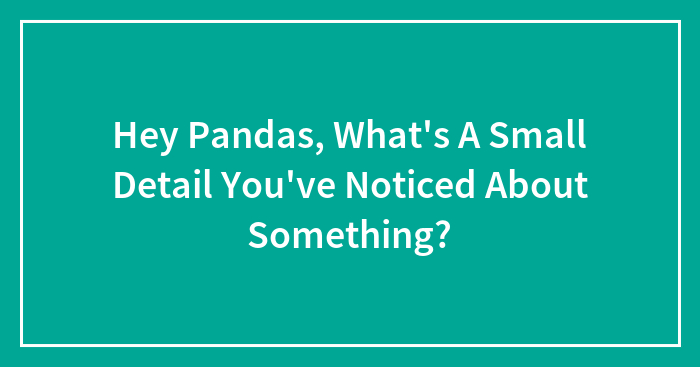 Hey Pandas, What’s A Small Detail You’ve Noticed About Something? (Closed)