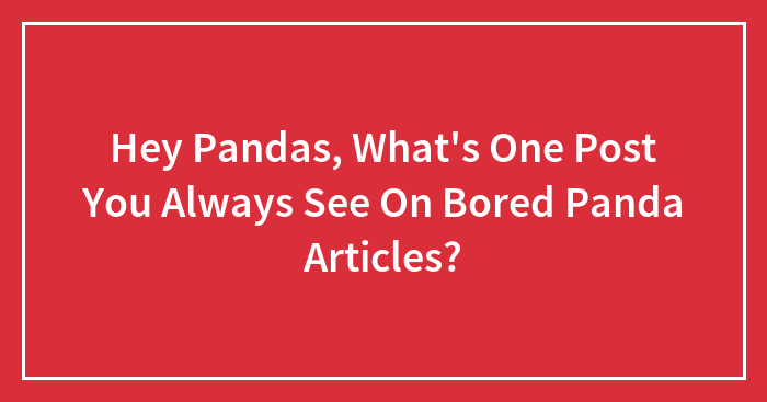 Hey Pandas, What’s One Post You Always See On Bored Panda Articles? (Closed)