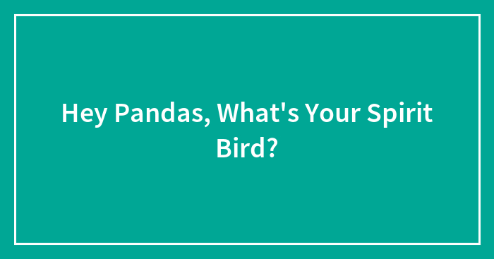 Hey Pandas, What’s Your Spirit Bird? (Closed)