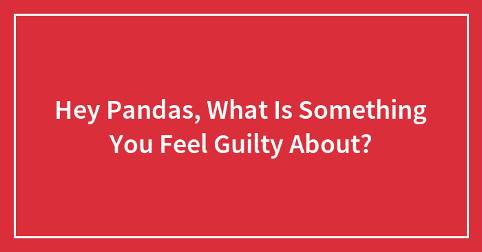 Hey Pandas, What Is Something You Feel Guilty About? (Closed)