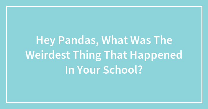 Hey Pandas, What Was The Weirdest Thing That Happened In Your School? (Closed)