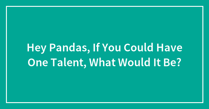 Hey Pandas, If You Could Have One Talent, What Would It Be? (Closed)