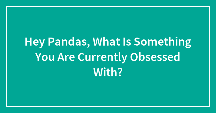 Hey Pandas, What Is Something You Are Currently Obsessed With? (Closed)