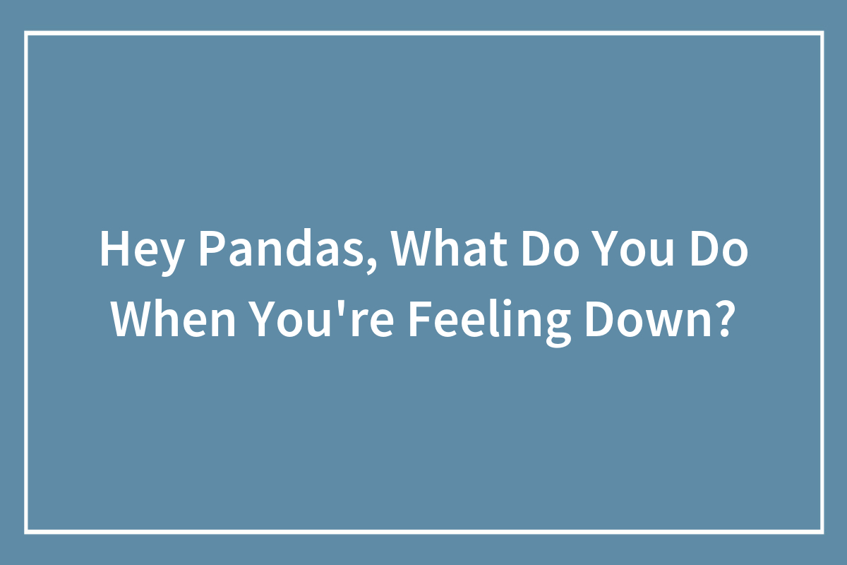 Hey Pandas, What Do You Do When You're Feeling Down? (Closed) | Bored Panda