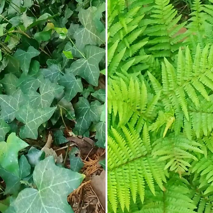 This Is Why Overgrown Weeds Can Be A Good Thing If You’re A Photographer