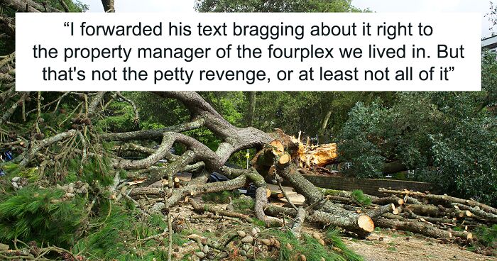 After A Break-Up, Ex-Boyfriend Cut Down “Their” Tree, So This Woman Forwarded His Text Bragging About It Right To The Property Manager