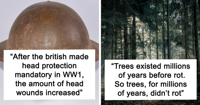 These 101 Mind-Boggling Facts Seem Unreal But Are Totally True