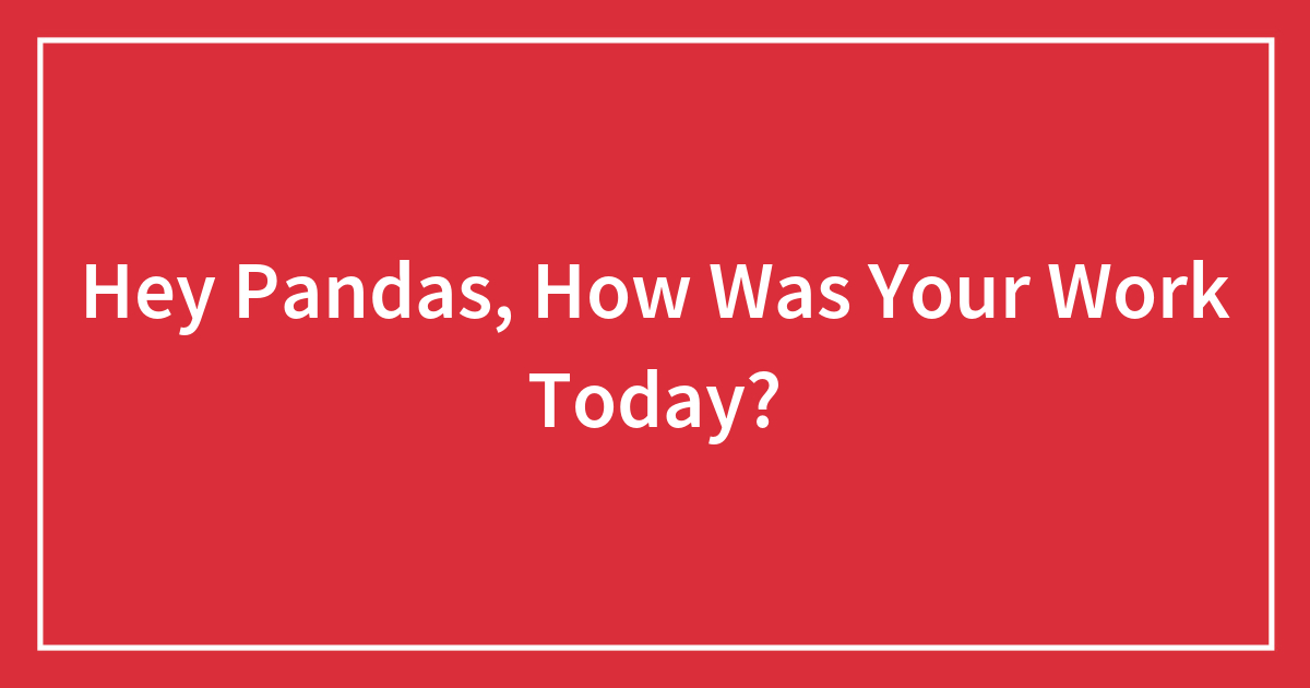 Hey Pandas, How Was Your Work Today? (Closed) | Bored Panda