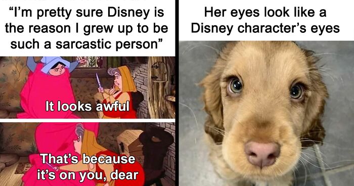 These 98 ‘Disney Memes’ May Remind You Just How Magical The Mundane Can Be