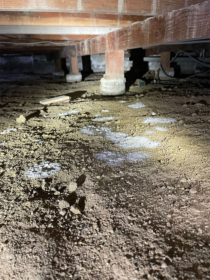 Although Our Expertise In The Real Estate Community Lies In The Structural Or Soil-Related Issues, We Tend To Find Other Issues Beneath Buildings And Make Our Buyers Or Sellers Aware Of Them To Get The Right Professional In So They Can Complete Their Full Due Diligence. In This Case, There Is Excessive Mold Growth Beneath This House, But Nobody Had Detected This Issue Despite Other Inspections Having Occurred Prior To Ours