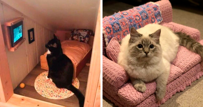 45 Cats And Furniture Made Specifically For Them, Shared In This Dedicated Online Group