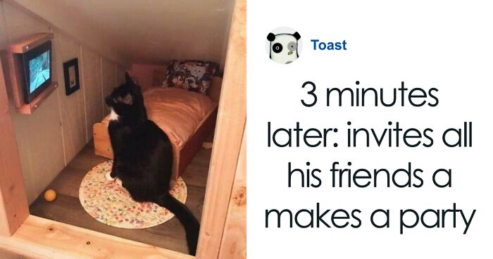 People Have Created An Online Community Where They Post About Cats And Cat-Sized Furniture (45 Of The Cutest Pics)