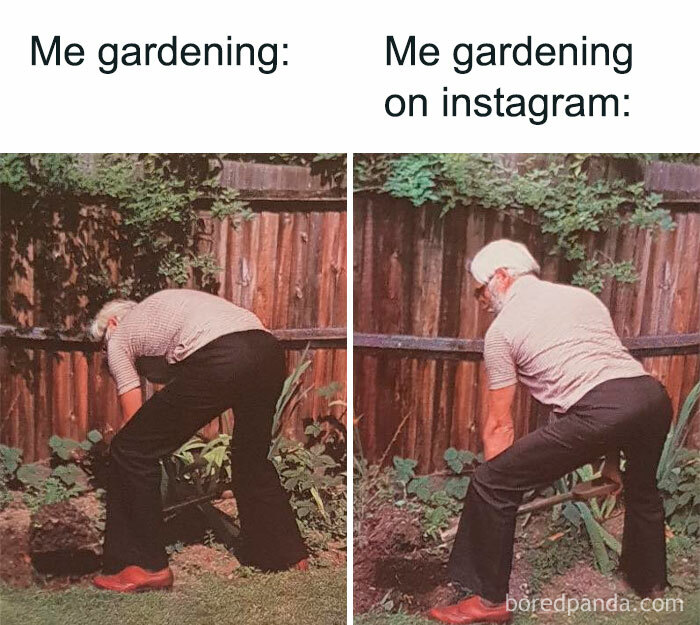 Planting memes. Best Collection of funny Planting pictures on