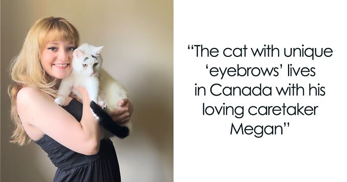 Hénri Is A Rescue Cat Who Found His Forever Home And Is Now Widely Known As The Cat With Eyebrows