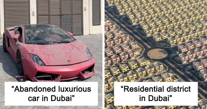  118 Curious Novelties You Can Come Across When Exploring Dubai