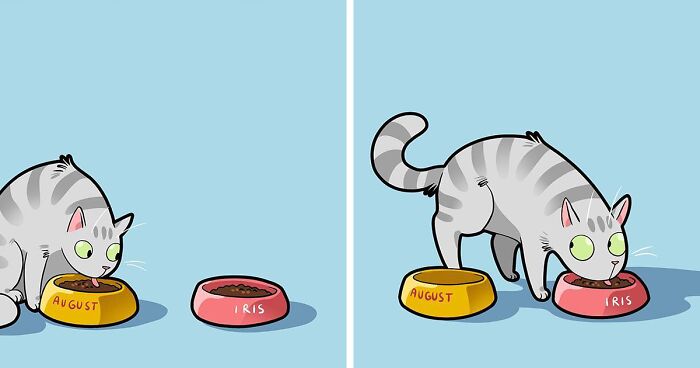 Hilarious Comics Depicting The Everyday Joys And Struggles Of Living With A Cat (45 New Pics)