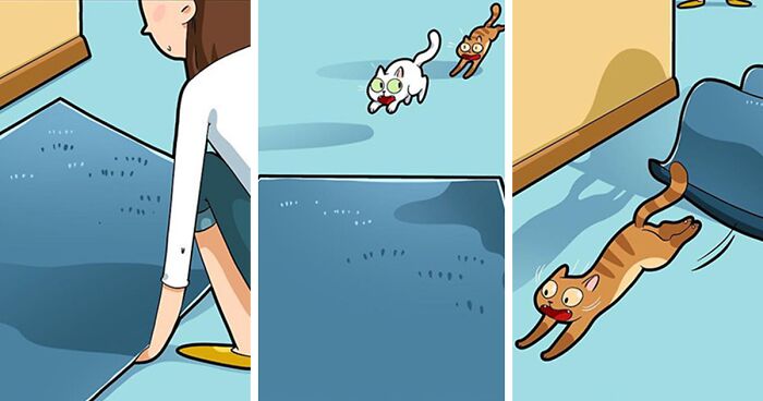 The Daily Realities Of Living With A Cat, Perfectly Captured By This Artist (40 New Pics)