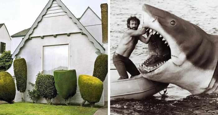 91 Amazing Pics Of Long-Forgotten And Unintentional Art, As Shared On This Instagram Page