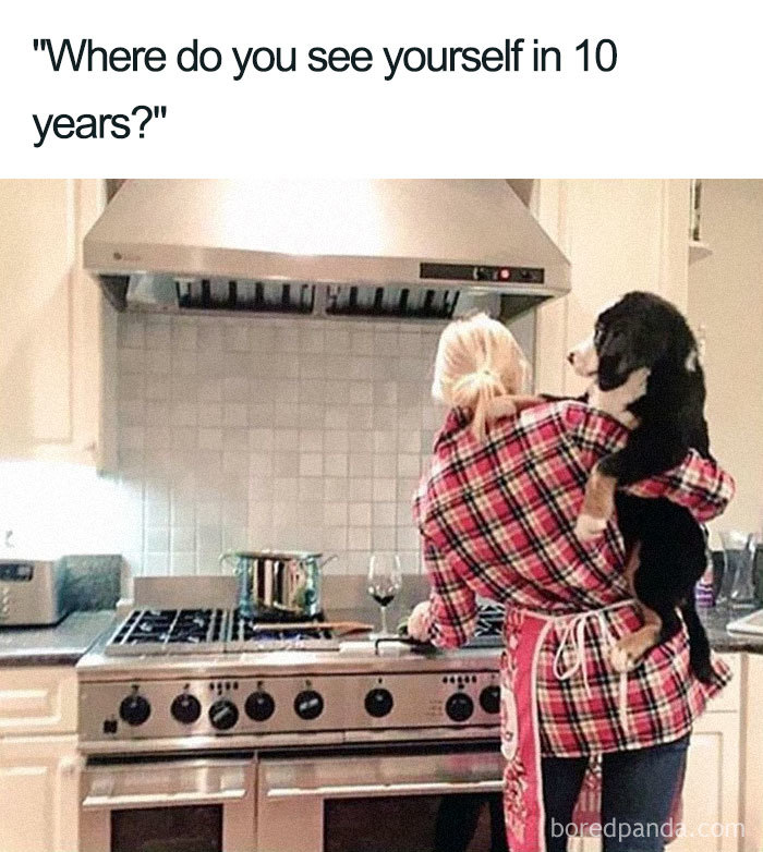 I Think Every Pet Parent Can Relate To These!