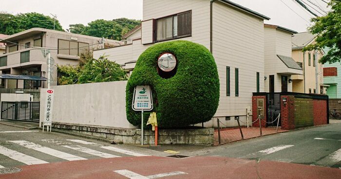 This Photographer Captures The Essence Of Daily Life In The Japanese Streets, And Here’s The Result (42 New Pics)