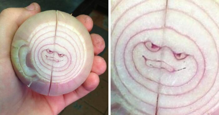 29 Times Random Objects Looked So Human-Like, They Just Had To Be Showcased On This Twitter Page