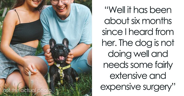 Woman Begs Her Ex To Help With Their Former Dog's Vet Bills, He Flatly Refuses And Takes Heat From Her