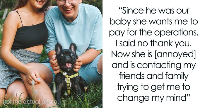 Woman Demands Ex Pay For Their Dog’s Expensive Surgery, He Refuses And Gets Called A Jerk