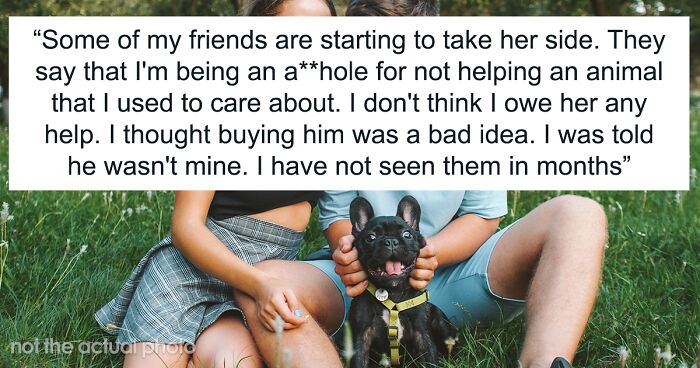 Man Refuses To Pay Vet Bills For The Dog He Bought For His Ex-Wife Before Their Divorce, Wonders If That Makes Him A Cruel Person