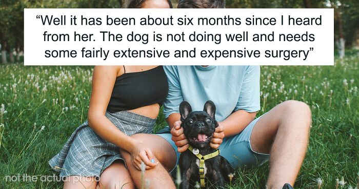 “I Said No Thank You”: Woman Demands Ex Pay For Her Dog's Vet Bills, Contacts His Close Ones To Make Him Change His Mind After Getting A Refusal