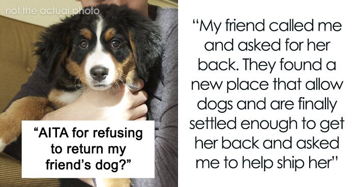 “She Never Barks And Is The Best Hiking Buddy Ever”: Guy Has Had His Friend’s Dog For 2.5 Years When Friend Asks Him To Ship Her Back, Guy Refuses