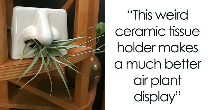 96 Times People Switched Their Boring Plant Pots With Something Unique And Pretty