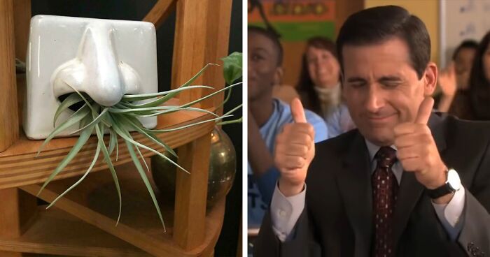 96 Times People Got Creative And Paired Plants And Pots So Perfectly, They Just Had To Share