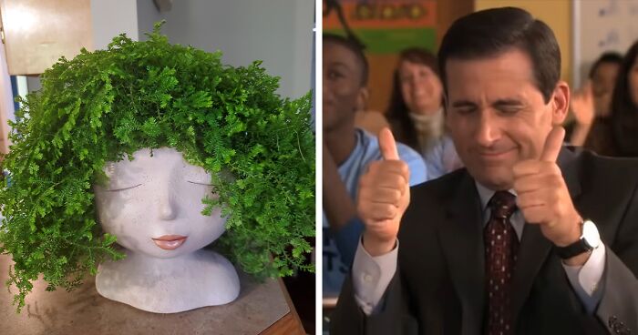 96 Times People Spruced Up Their Plants With Very Unique Plant Pots