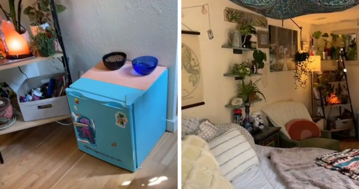 21-Year-Old Shows Off The Shed She's Been Living In To Save Money On Rent