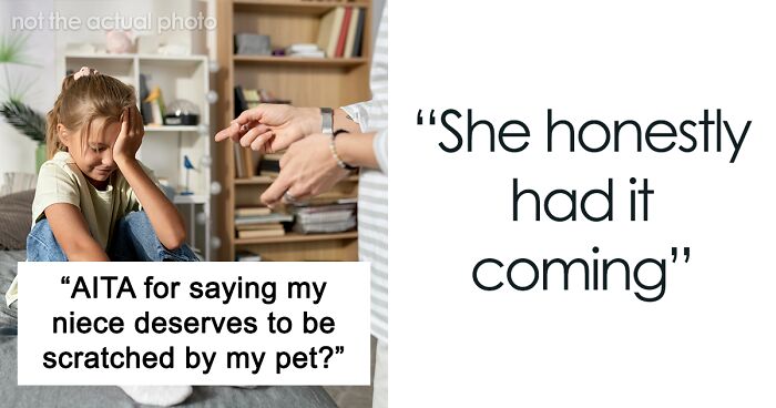 “I Think She’s Old Enough To Respect The Cat’s Boundaries”: Woman Asks If She’s A Jerk For Saying Her Niece Deserved To Be Scratched By Her Cat