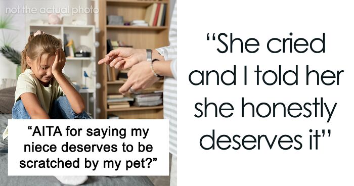 “She Has No Respect For The Fact He’s A Living Creature And Not A Toy”: Woman’s Cat Scratches Her Niece, She Says The Child Deserved It