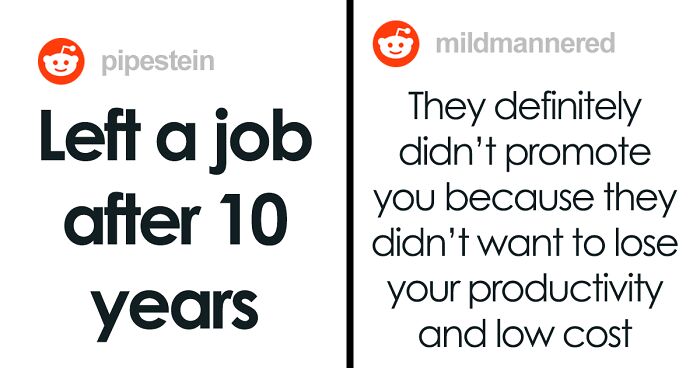 “He Knew Less About The Ins And Outs Of The Position”: Person Leaves Their Job Of 10 Years After Management Promotes Someone They Trained