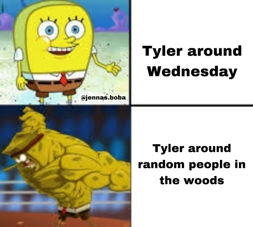 11 Wednesday Netflix Memes