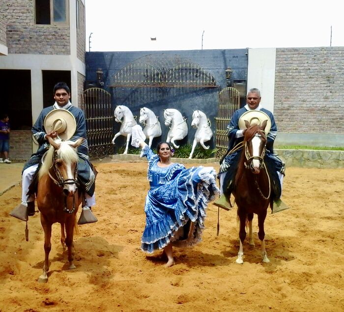 I Took Photos Of Caballo De Paso Peruano