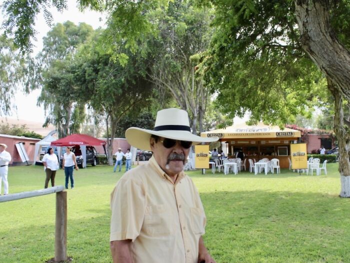 I Took Photos Of Caballo De Paso Peruano