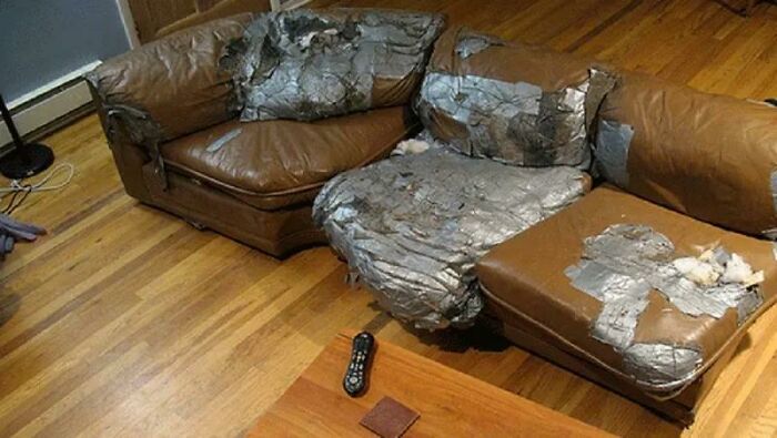 Couch Repair