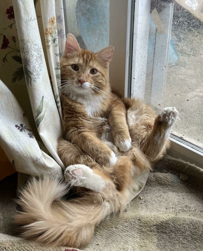 This Is How Izzy Sits