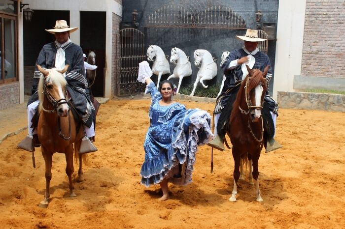 I Took Photos Of Caballo De Paso Peruano