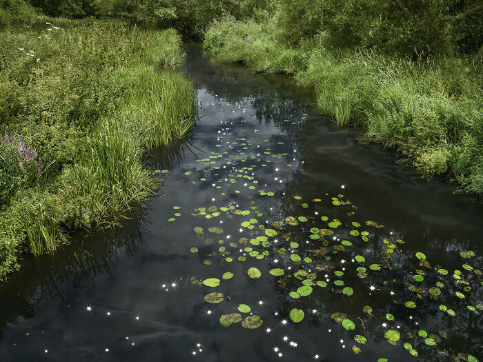 I Combined Light And Water To Create These Images About Rare Chalk Streams (12 Pics)